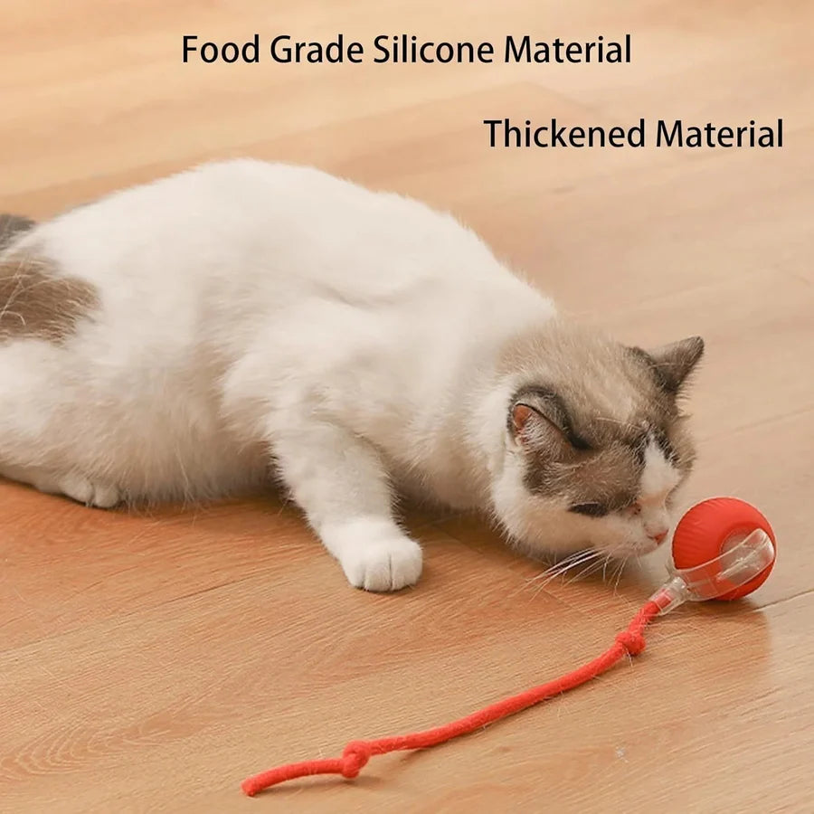 speedy Interactive pet Ball Toy
