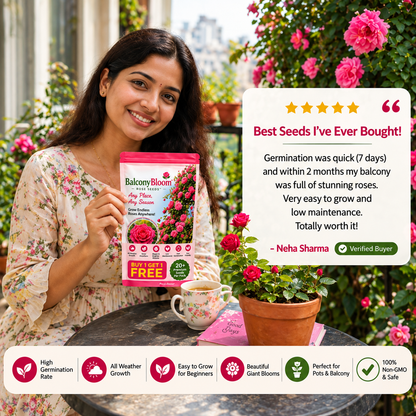 Persian Climbing Rose Seeds (Buy 1 Get 1 Free)