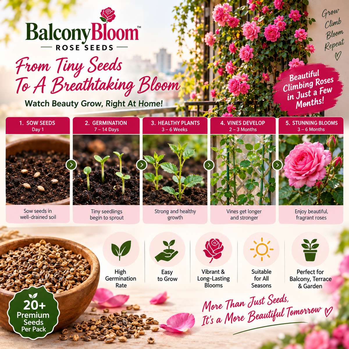 Persian Climbing Rose Seeds (Buy 1 Get 1 Free)